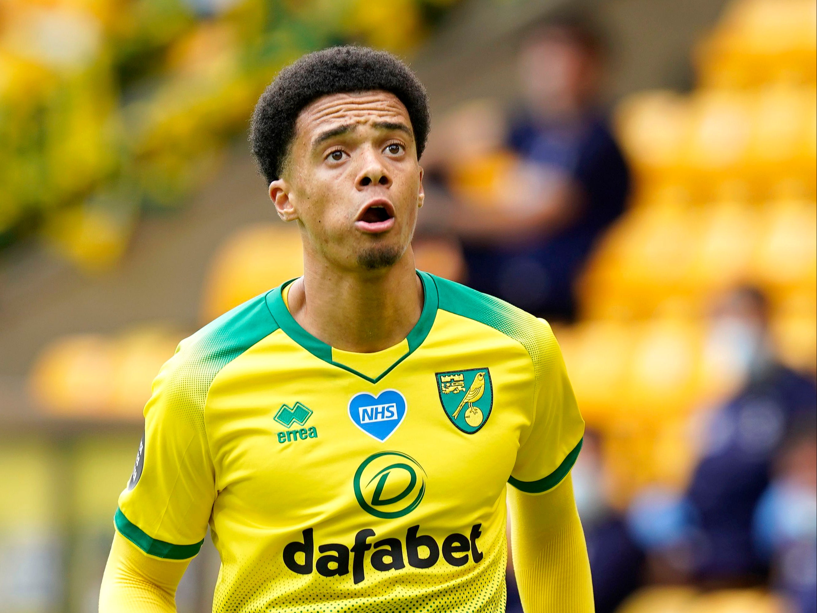 Norwich City's Jamal Lewis is set to join Newcastle United