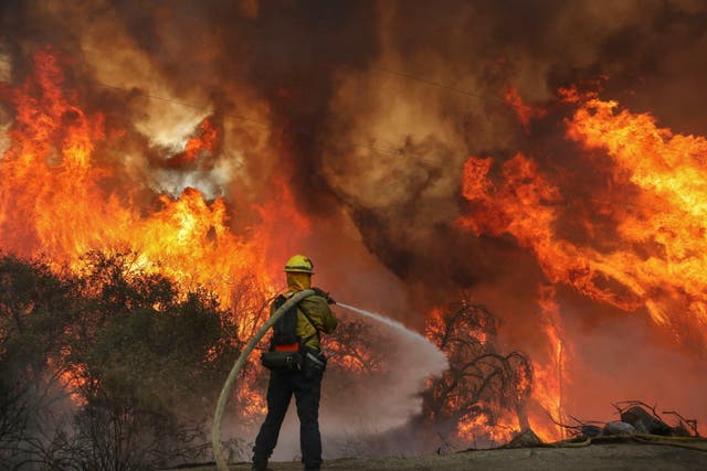 San Miguel County Firefighters battle a brush fire along Japatul Road during the Valley Fire in Jamul, California over the weekend 