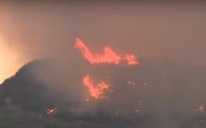 California wildfire: Gender reveal party sparks huge blaze forcing hundreds to evacuate