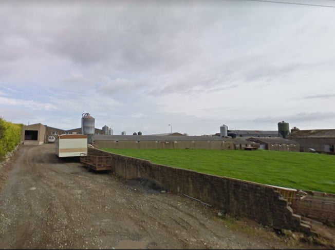 Firefighters were called to a shed fire at a farm on Carrigenagh Road, Kilkeel, where it is believed up to 2,000 pigs died in the blaze