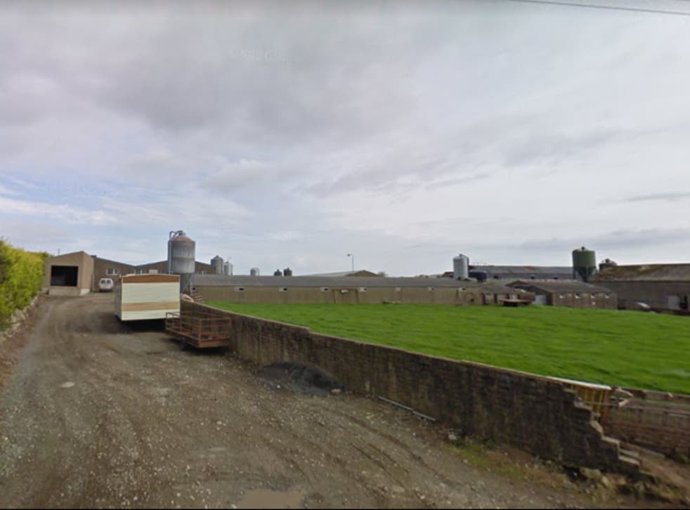 Firefighters were called to a shed fire at a farm on Carrigenagh Road, Kilkeel, where it is believed up to 2,000 pigs died in the blaze