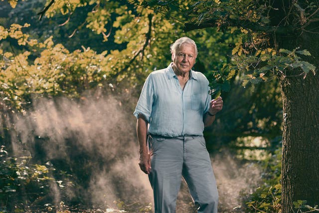 David Attenborough's latest documentary Extinction: The Facts is scarier than any horror movie