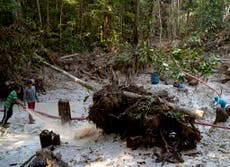 How coronavirus is fuelling an illegal gold rush in the Amazon