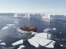 ‘Doomsday glacier’ melting due to warm water channels, scientists say