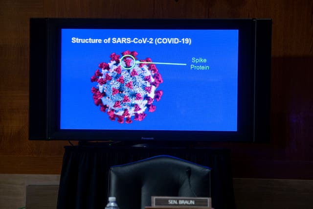 US health officials testified before the Senate HELP Committee using charts and diagrams to explain their work on a Covid-19 vaccine.