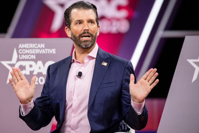 <p>Donald Trump Jr on Thursday night told Fox News the 1,000 Covid deaths that day were ‘almost nothing’</p>