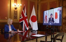 Is the UK’s new trade deal with Japan really something to get excited about?