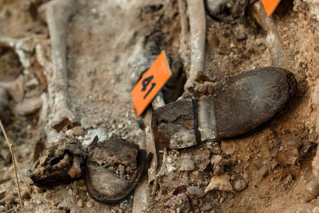 Human remains discovered in 2016 during exhumation works in a mass grave at Valladolid cemetery where hundreds of people were dumped during the Spanish civil war