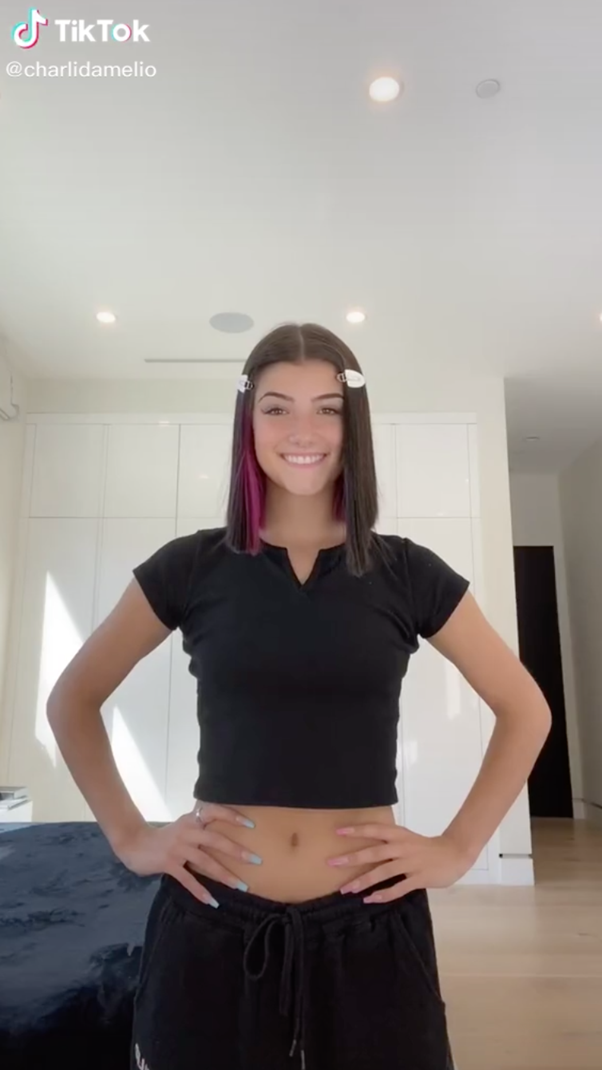 Tiktok'S Charli D'Amelio: Edited Nude Photo Debunked - rms08gm
