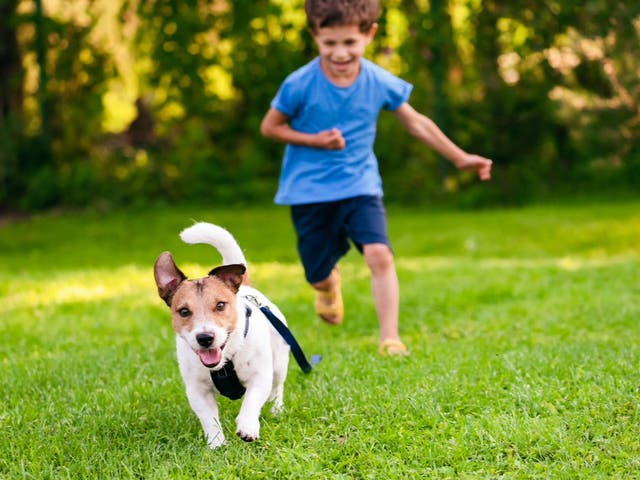 Un estudio encuentra los beneficios económicos y para la salud de tener una mascota