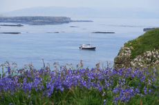 Empty cruise ships in Scotland being used as holiday accommodation 