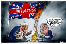 The government has behaved foolishly over its dealings with the EU