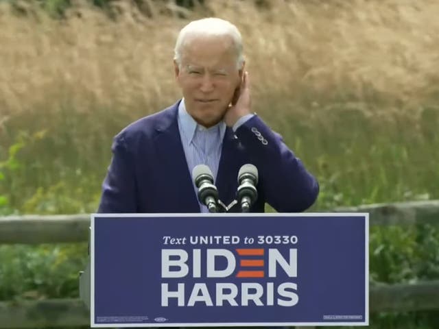 Joe Biden was forced to swat the bug mid speech on Monday.