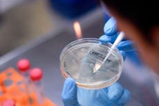 Coronavirus vaccine: New UK trial to test inhaled dose instead of injection