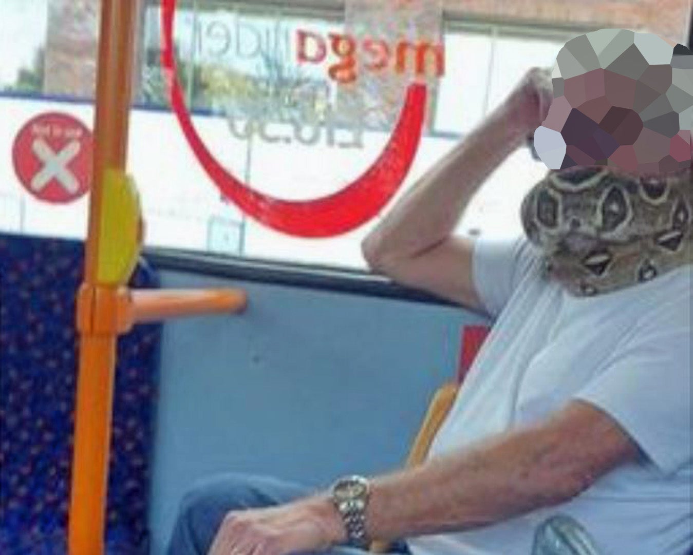 A man riding on a bus in Salford using a snake as a face mask