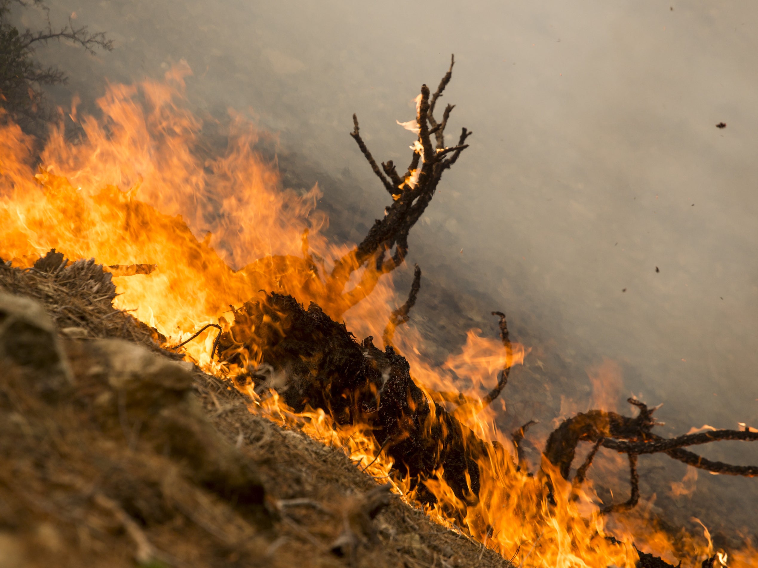 Smoke from US wildfires reaches Europe, satellite images show The Independent