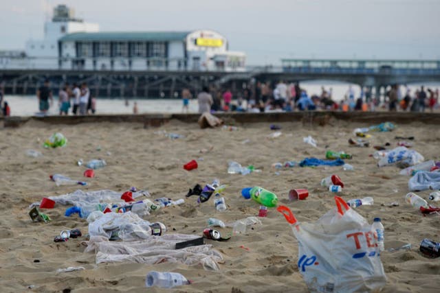 We celebrated lockdown with a festival of litter, all over the beaches and in every far-flung inland beauty spot
