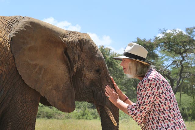 Sylvie Chantecaille meets an elephant in Kenya