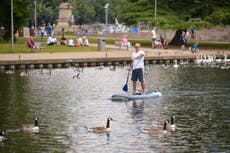 Every river in England is polluted, government figures reveal