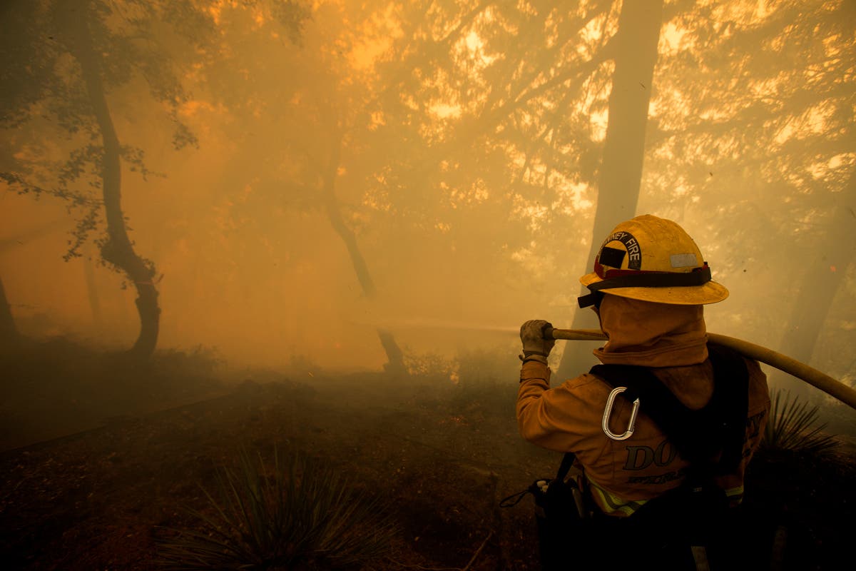 Firefighter Dies Battling Wildfire Sparked By Gender Reveal The Independent 2839