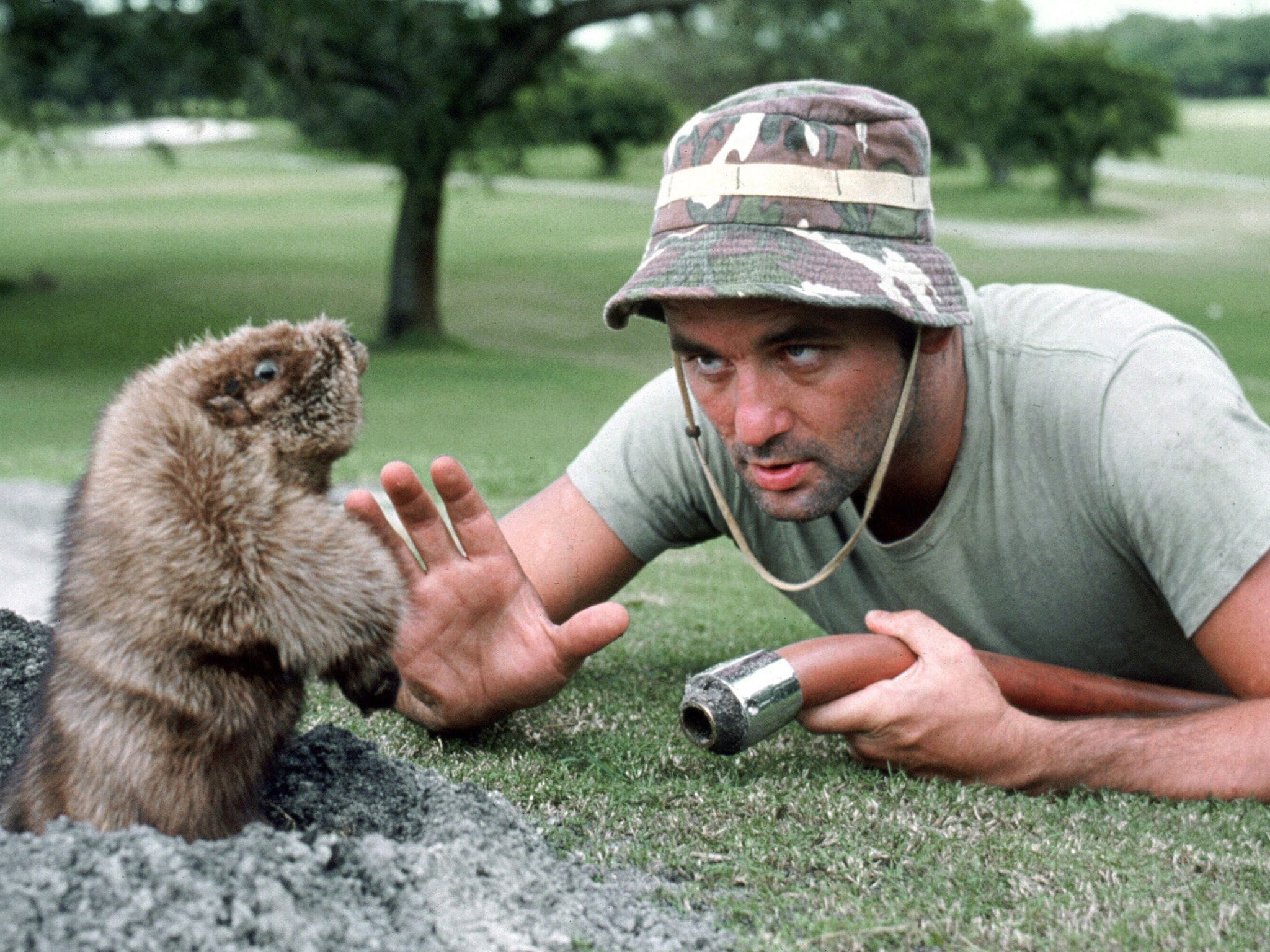 Murray faces off against a gopher in 'Caddyshack'