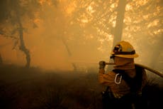 I was a firefighter. There’s a way to stop wildfires happening — but the US government won’t allow it