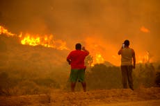 Half a million lives in California would be saved if government tackles climate crisis, House report says