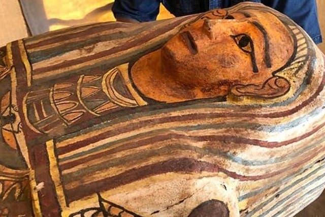 A total of 27 sarcophagi have been discovered in an Egyptian tomb.