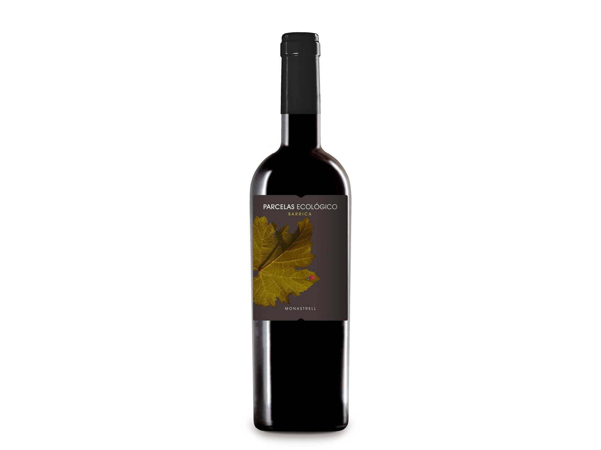 organic wine 