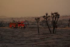 California’s Bobcat wildfire now among largest in Los Angeles history