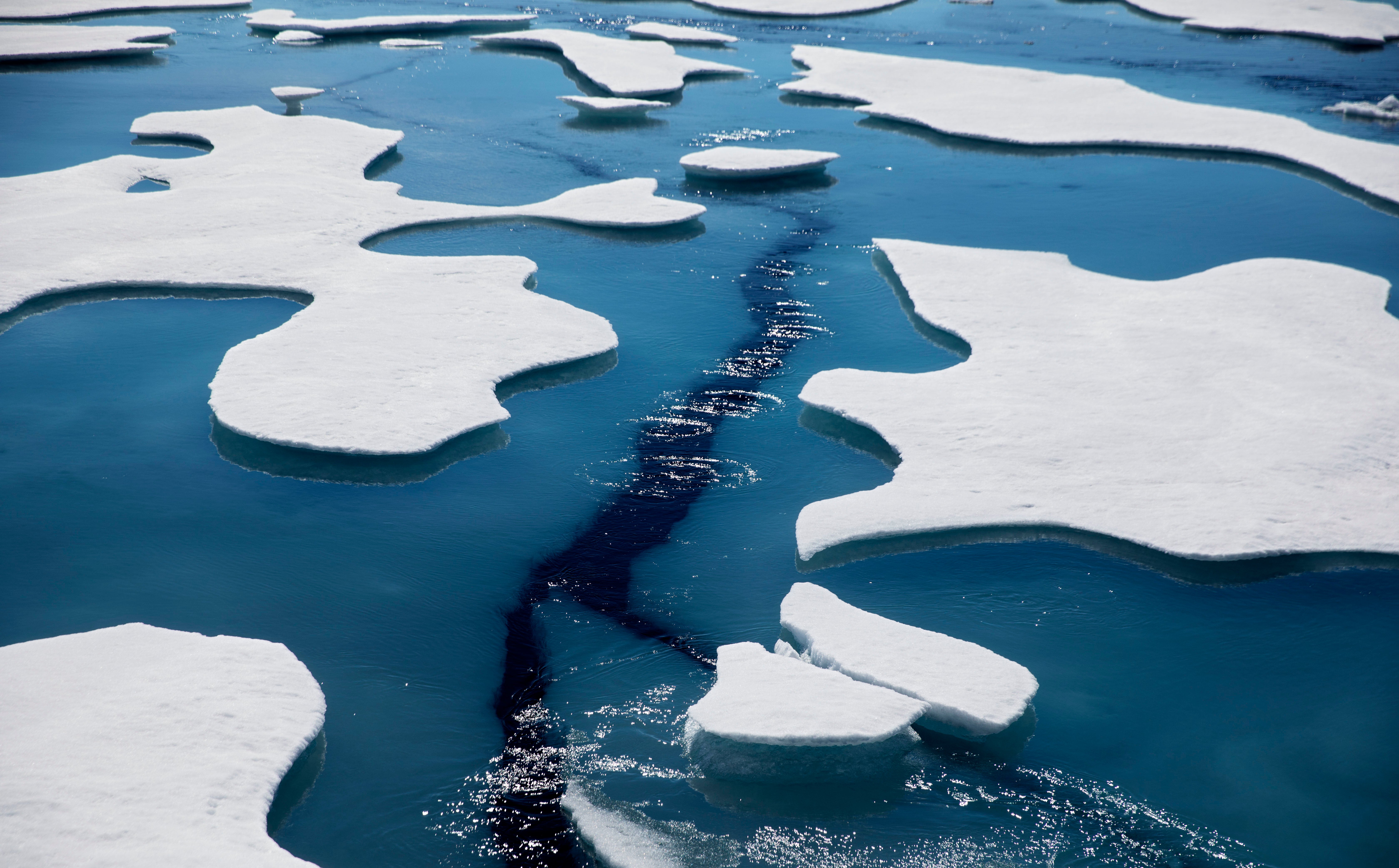 Sea ice is melting at an alarming rate, says scientists