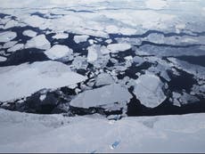 ‘Devastating’: Arctic sea ice shrinks to near record low