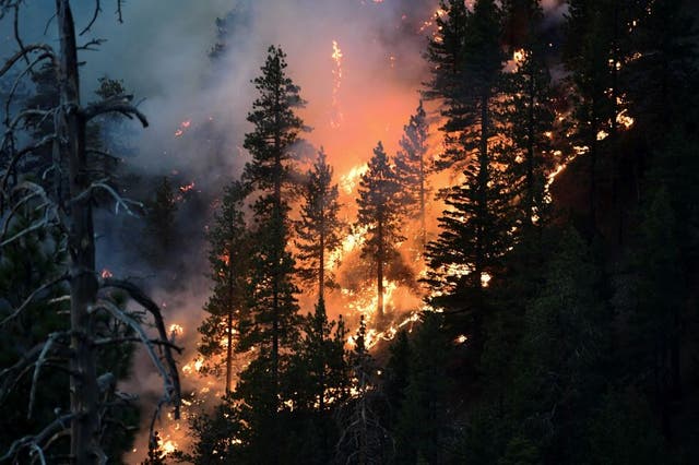 El llamado incendio Bobcat amenaza a una enorme cantidad de viviendas en California.