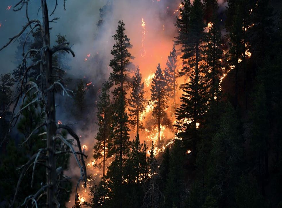 El llamado incendio Bobcat amenaza a una enorme cantidad de viviendas en California.