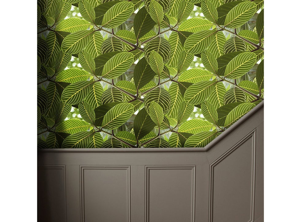 Best Wallpaper 2020 Statement Designs For Your Bedroom Kitchen Or Living Room The Independent