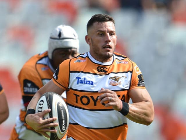 The Cheetahs could be back with more domestic teams in the Pro14