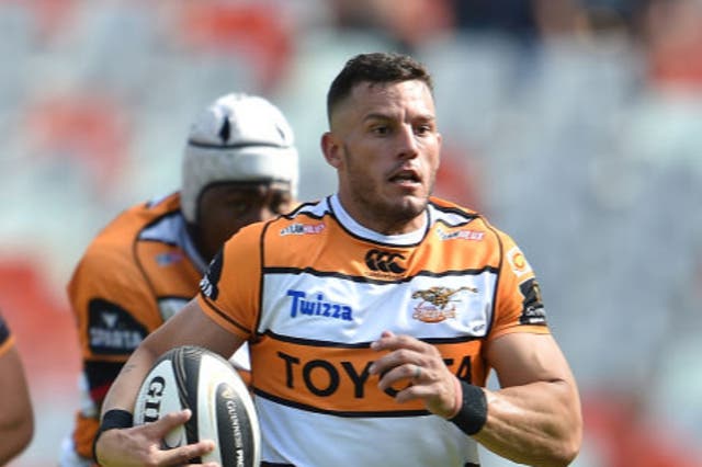 The Cheetahs could be back with more domestic teams in the Pro14