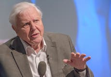 Sir David Attenborough joins Instagram for an important reason
