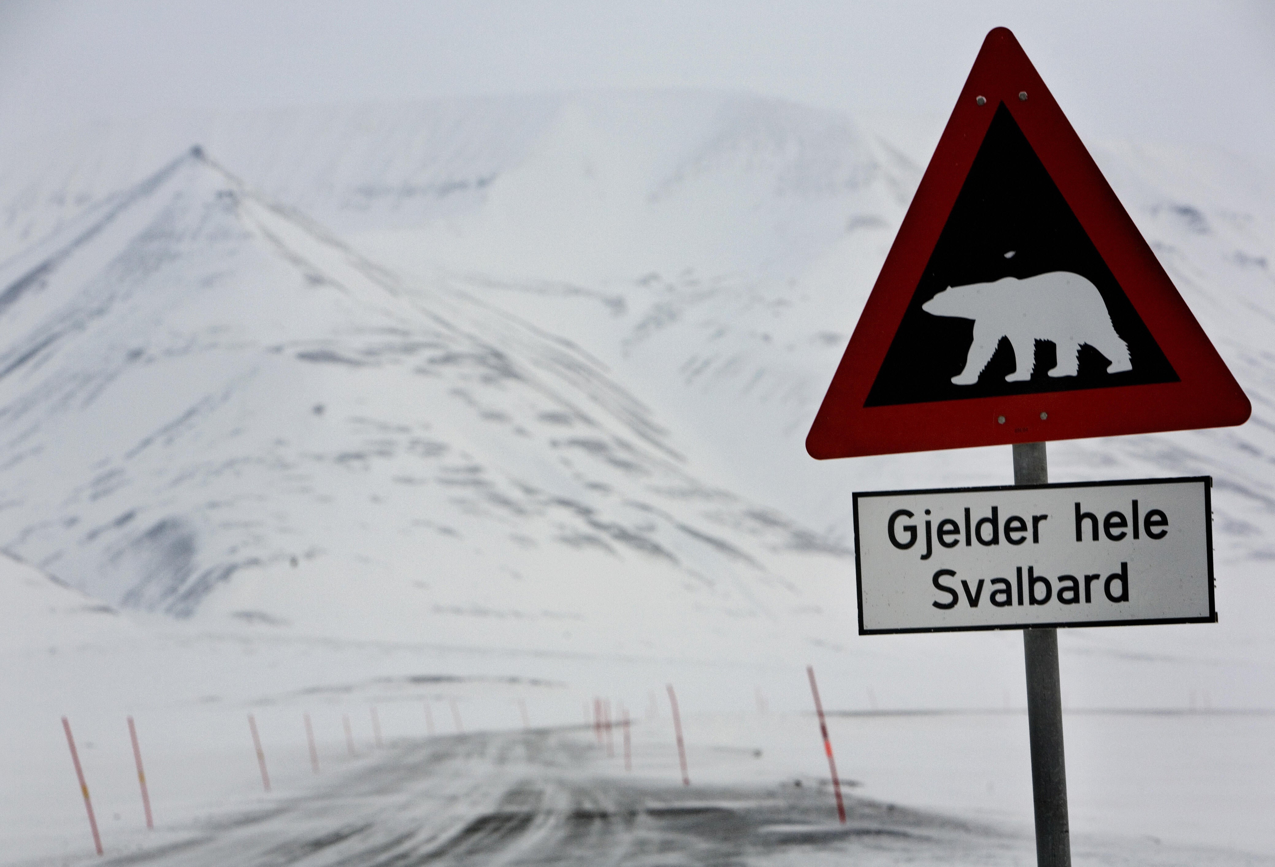 Retreating ice further increases the pressure on the wildlife, including polar bears