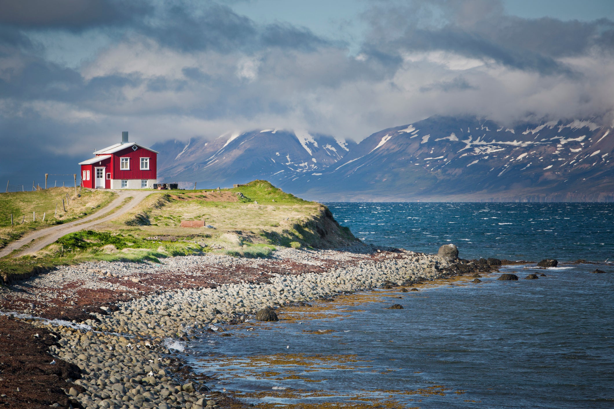 Svalbard’s landscape will start to resemble that of Iceland today, with bare rocks surrounded by grass, mosses and shrubs