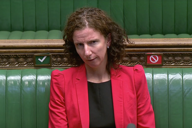 <p>Anneliese Dodds, the shadow chancellor, was left with little to say</p>