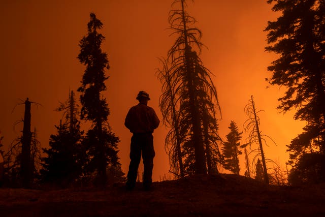 The Sequoia Complex Fire on 14 September, where Mexican crews have been dispatched to help