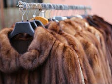 Selling and buying fur could be banned in UK after Britain leaves EU