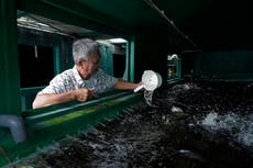 AP PHOTOS: Former shipping container maker uses them to farm
