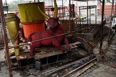 Rio Carnival postponed for first time in 100 years due to coronavirus