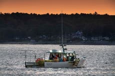 Maine lobster business salvaged its summer despite pandemic