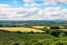 Boris Johnson pledges to protect 30% of UK land as world leaders sign commitment to act on climate crisis