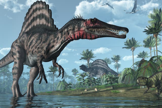 Spinosaurus were well-adapted to life in and out of water, palaeontologists have recently learned