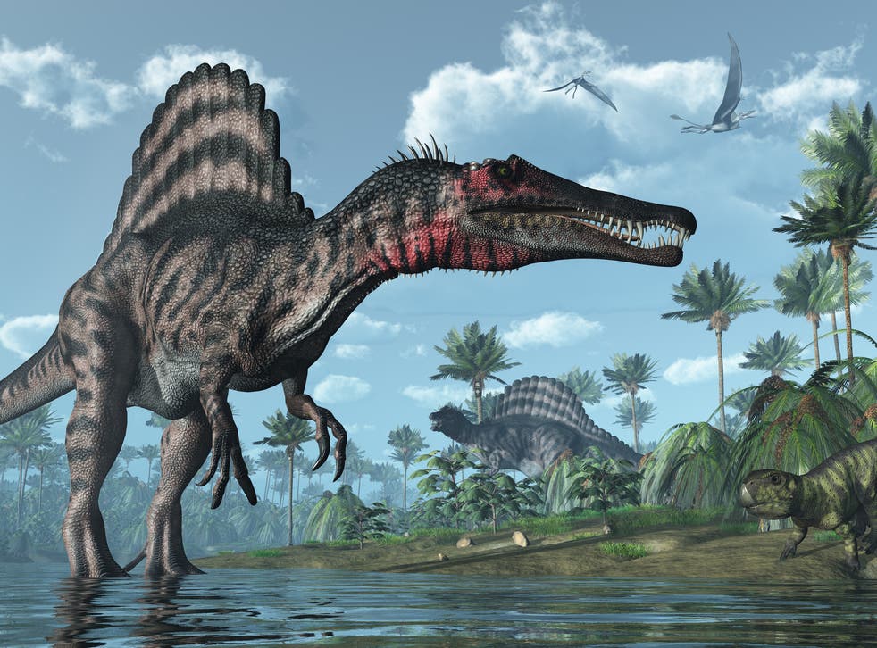 Spinosaurus: Meat-eating dinosaur even larger than T-Rex, was 'river  monster', researchers say | The Independent