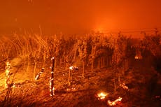 Top chefs mourn loss of famed Napa Valley restaurant in California wildfire